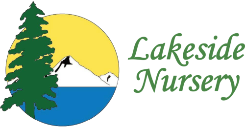 Lakeside Nursery